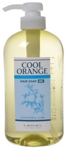 ��m�{�E�s���Ɛ��̔��e�@�E���e��