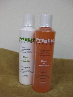 �s���Ɛ��̔��e�@�E���e��