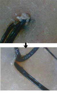 �s���Ɛ��E��m�{�̔��e�@�E���e���A�[�`�F